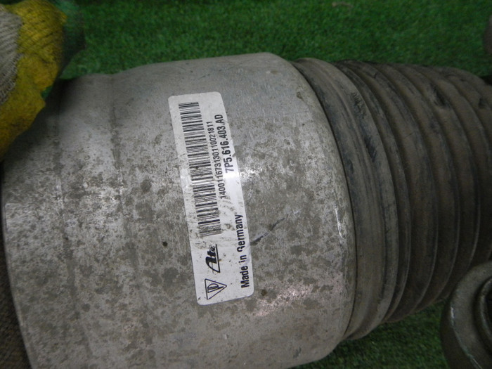 DSCN4490.JPG