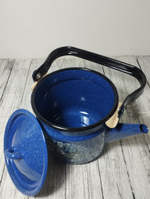 Чайник 2л Голубика синий 1с25с