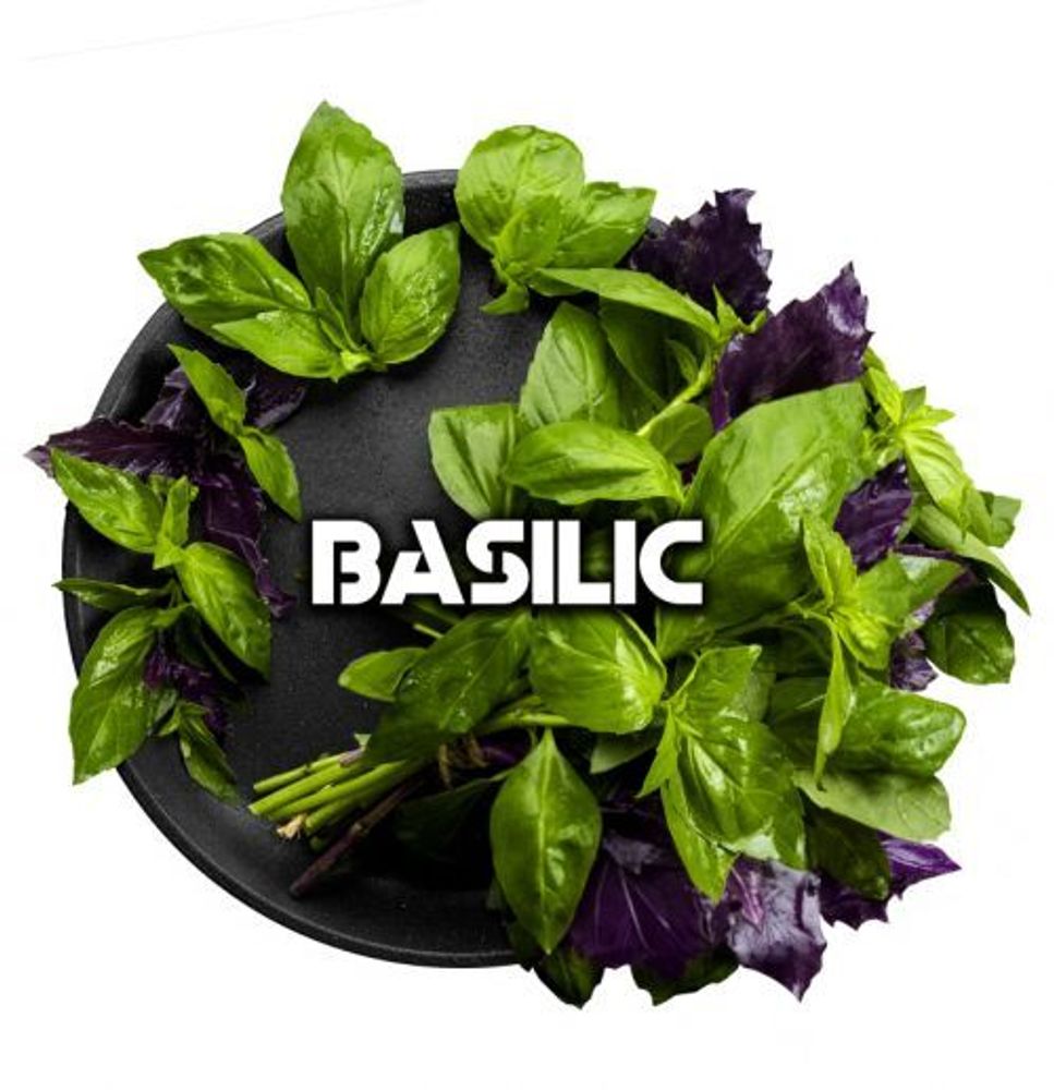 Black Burn - Basilic (200g)