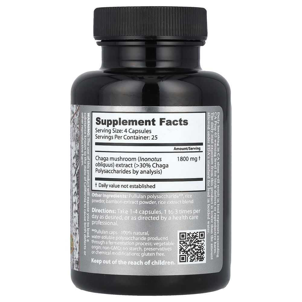 Dragon Herbs, дикая сибирская чага Chaga™, 450 мг, 100 капсул