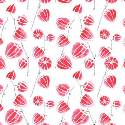 Красный физалис