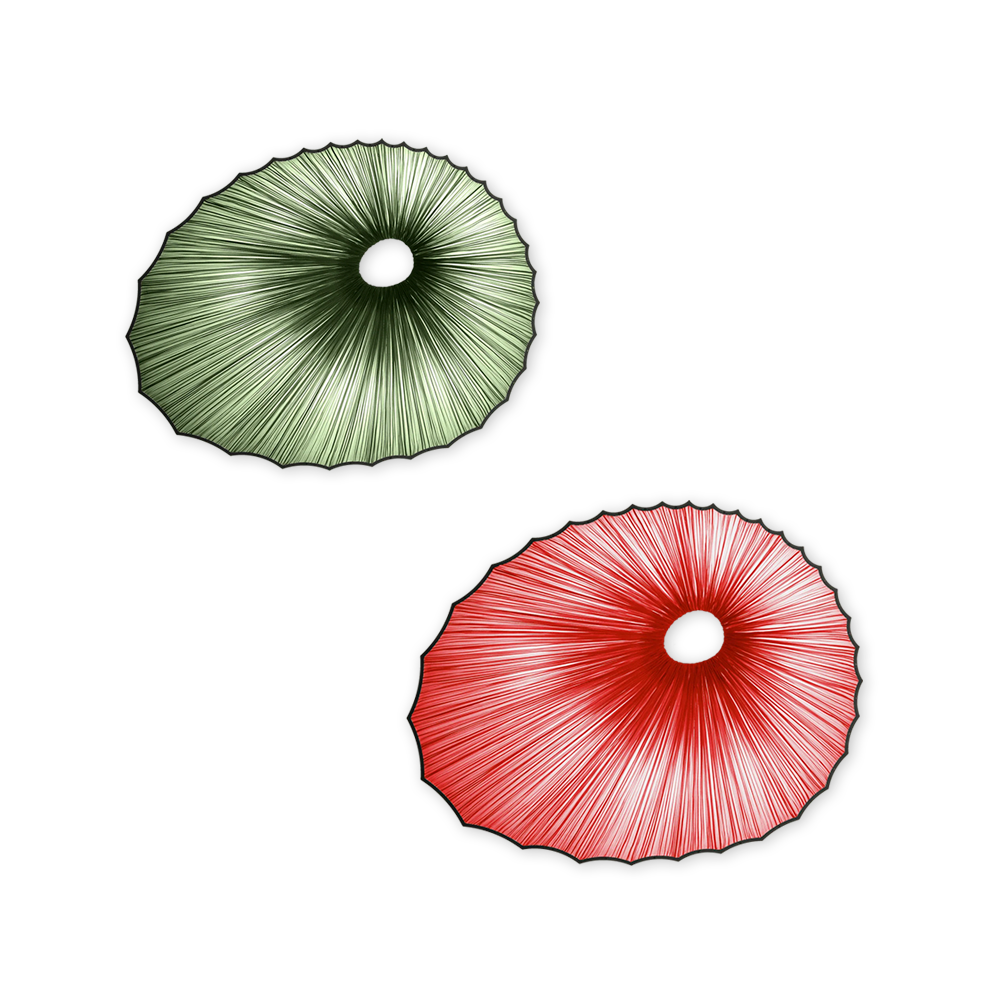 Потолочный дизайнерский светильник Sikus by Aqua Creations Studio