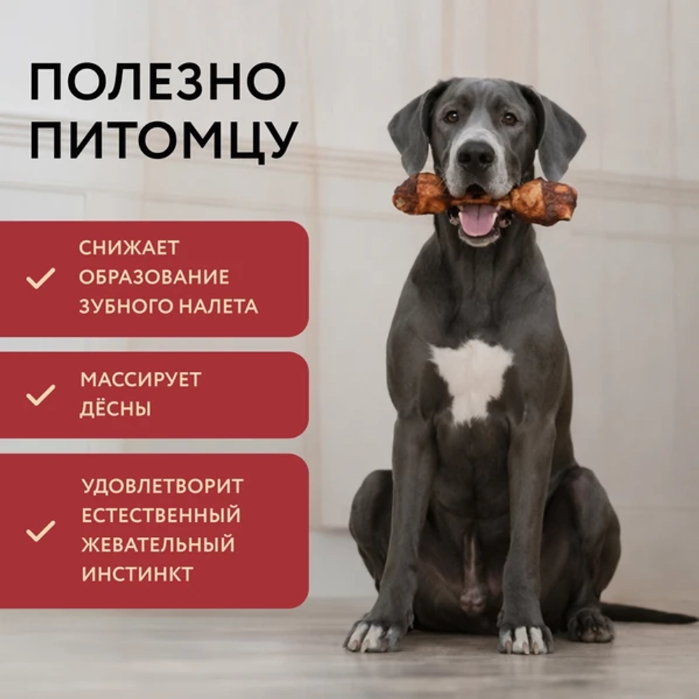 МНЯМС ДЕЛИКАТЕС Лакомство для собак Пармская косточка, размер XXL, 120 г