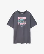 Футболка Anteater 361 серая