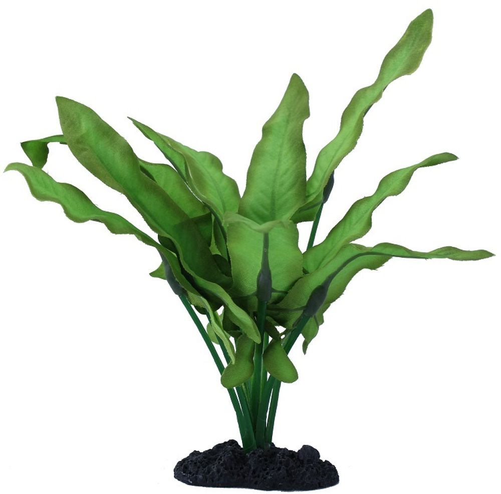 Шелковое растение Prime Анубиас Хастифолия 30см
