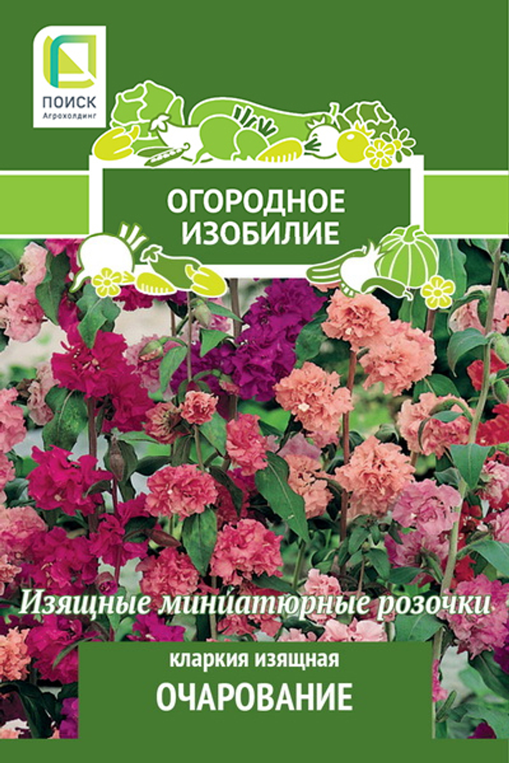 Кларкия изящная Очарование