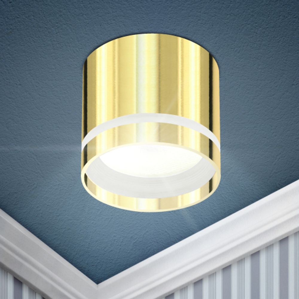 OL9 GX53 GD Подсветка ЭРА Накладные, под GX53 | Накладные светильники