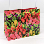 Пакет бумажный 23*18*10см с ручками "Цветы" микс