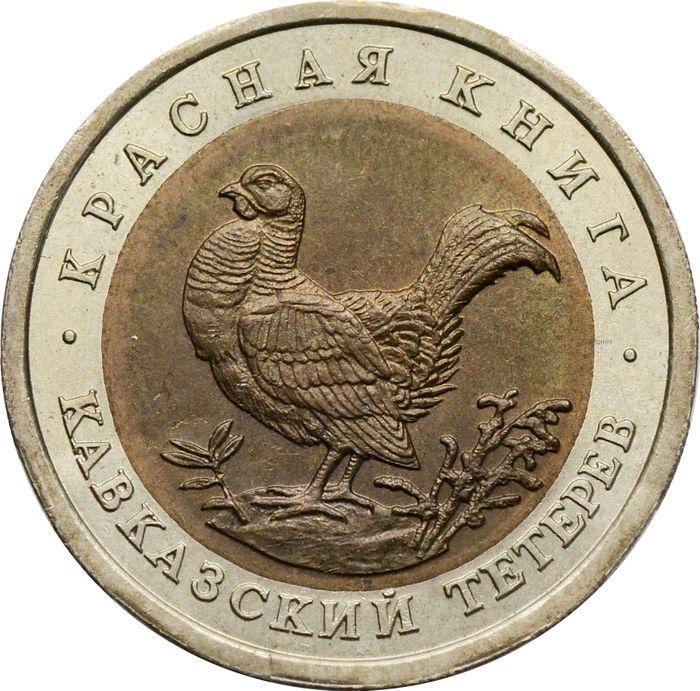 50 рублей 1993 ЛМД Кавказский тетерев