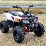 Квадроцикл YACOTA FUSION 125