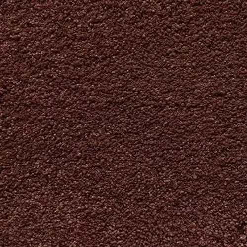 Ковровое покрытие Shaw Floors Cashmere IV 603