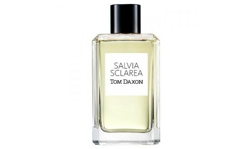 Salvia Sclarea tom daxon