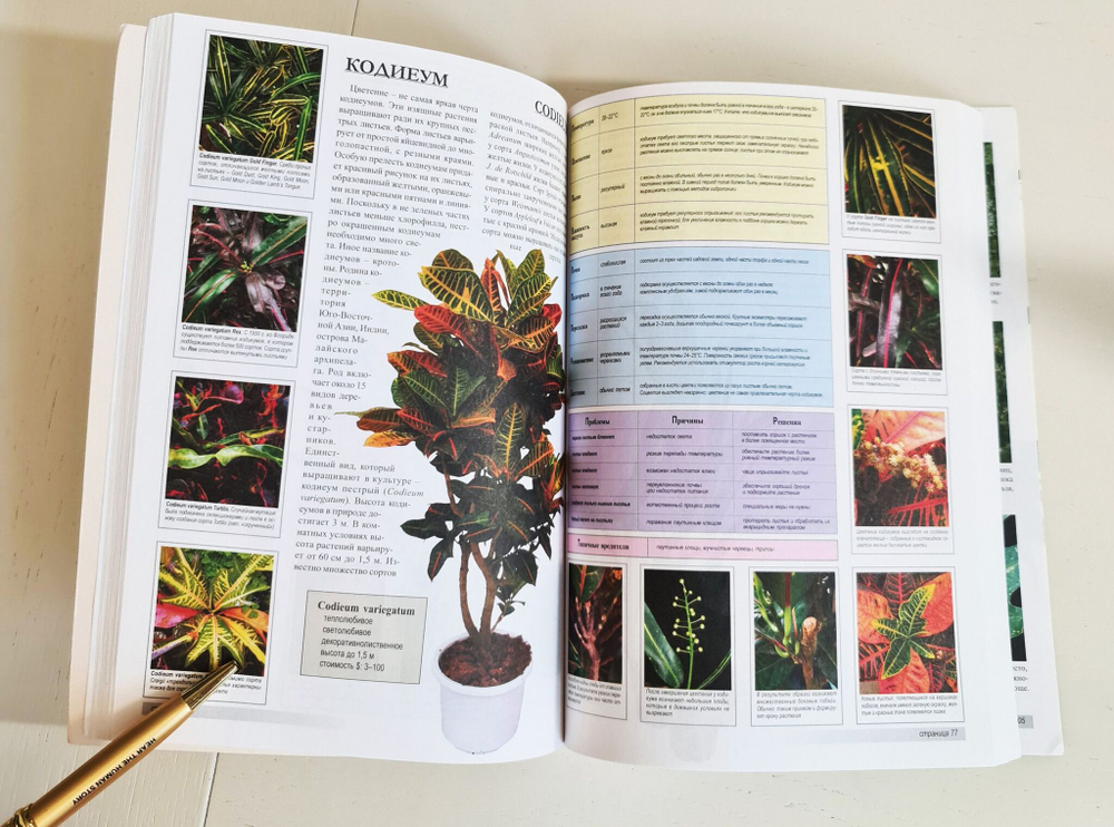 Все о 100 самых популярных комнатных растениях. Ян Ван дер Неер. 2007 г.