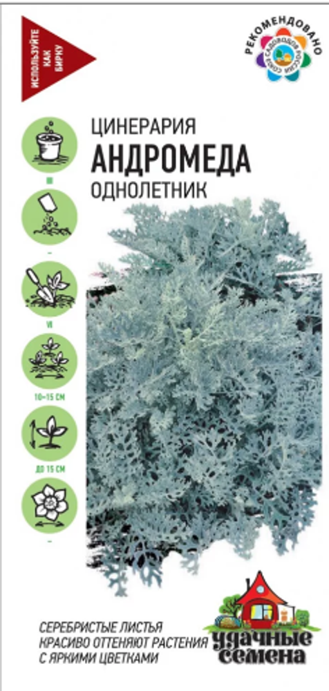 Цинерария Андромеда/Удачные семена 0,05гр ГШцветы