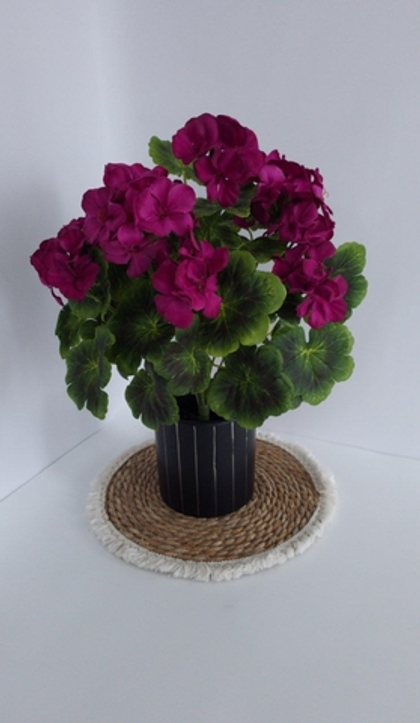 Герань / Арт 2313