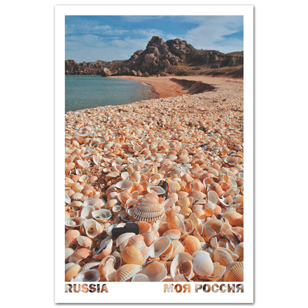 Ракушки на Генеральских Пляжах. Крым