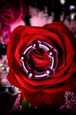 Эрекционное кольцо Toyfa A-Toys силикон фиолетовое