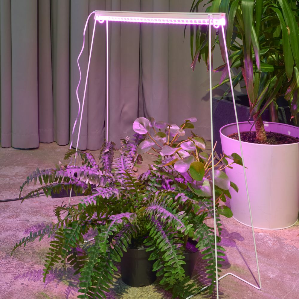 ULI-P56-18W-SPBR IP20 WHITE Светильник для растений светодиодный линейный. 573мм. выкл. на корпусе. Пластик. Спектр для рассады и досвечивания в период роста. TM ФитоЛето