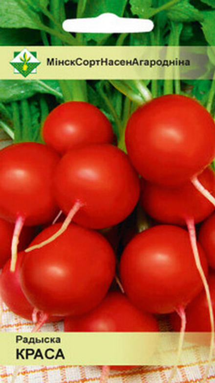 Редис "Краса" 2г, Польша.