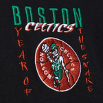 Баскетбольная футболка Mitchell&Ness NBA Asian Heritage Snake Boston Celtics T-shirt Black