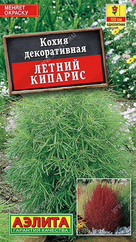 Кохия &quot;СТ. Летний кипарис&quot; 0,3г., Россия.
