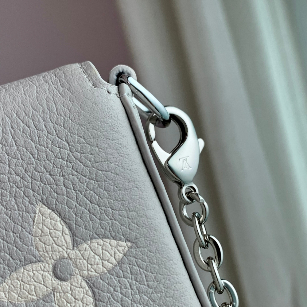 Louis Vuitton Felicie Pochette