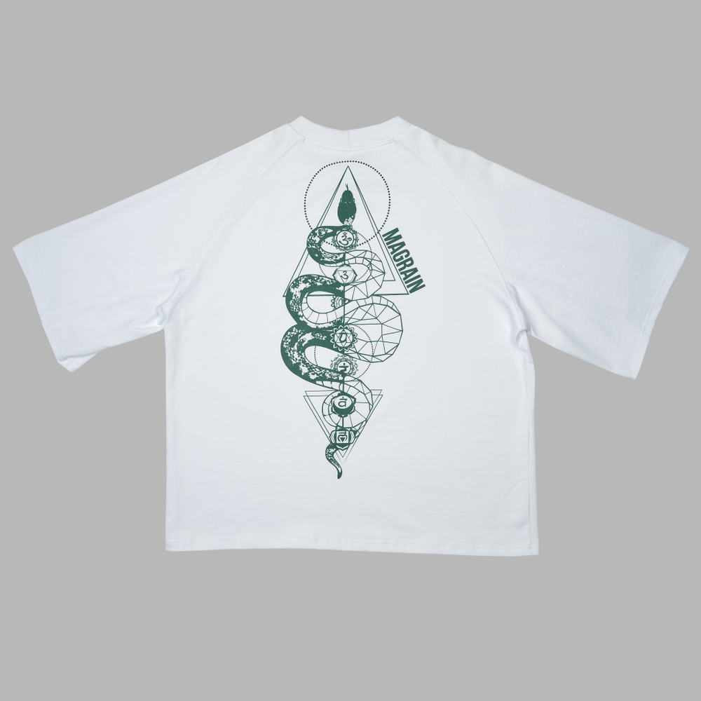 Футболка Реглан SNAKE