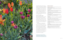 Life with Flowers: Inspiration and Lessons from the Garden