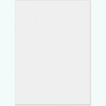 Папка для акварели "Золотая Рыбка" 10 листов, формат А3