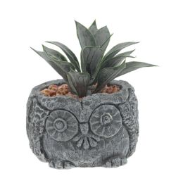 GAEM Цветочная композиция "Суккулент", L11 W11 H12 см