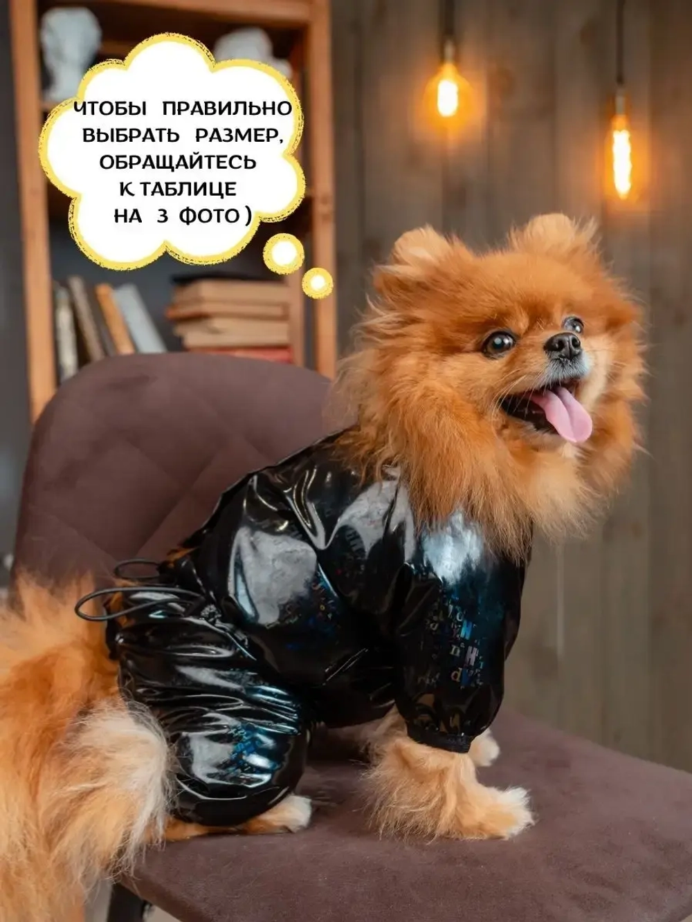 Комбинезон для мелких и средних собак