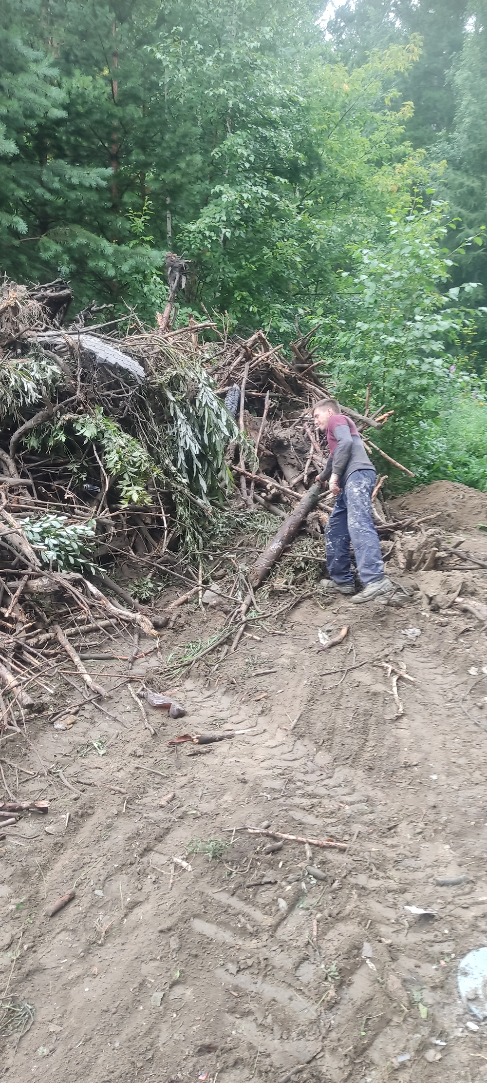 Расчистка участка в Екатеринбурге