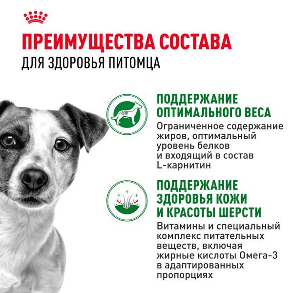 Пауч Royal Canin Mini Adult для взрослых собак мелких размеров от 10 месяцев, кусочки в соусе
