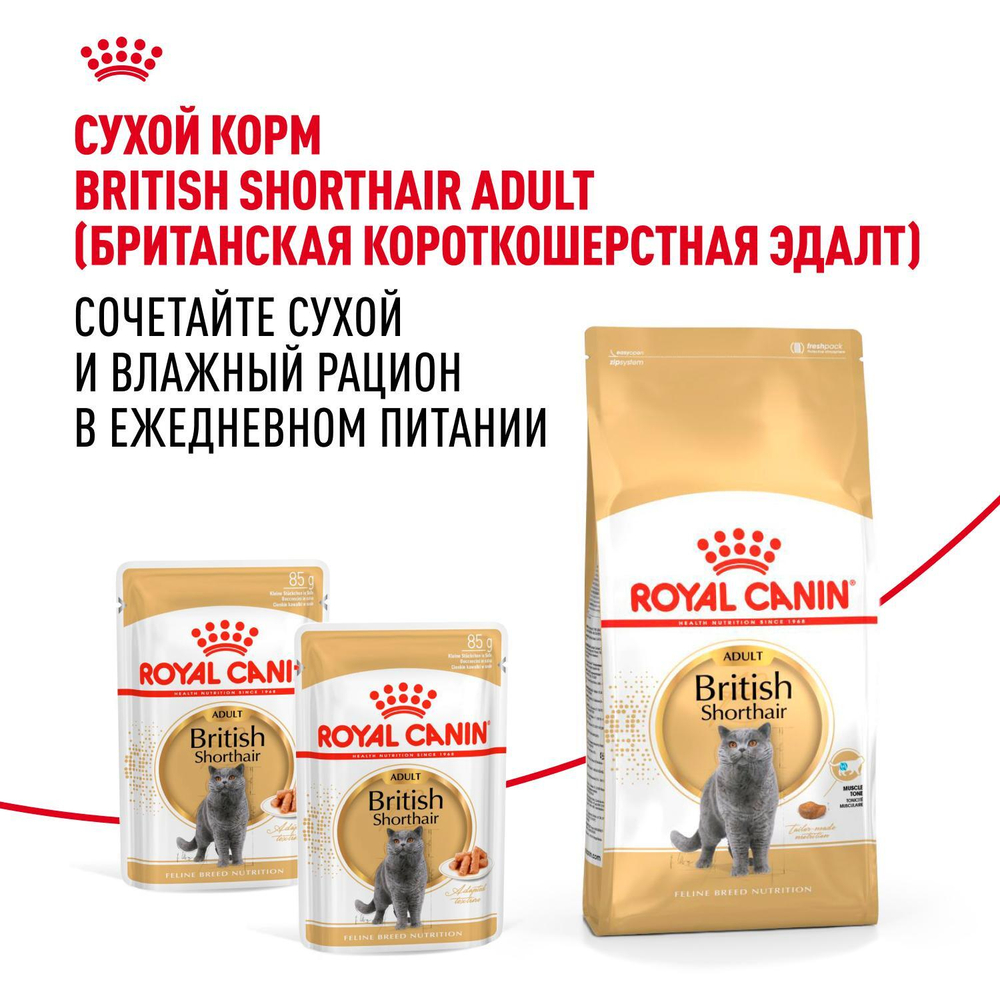 Royal Canin British Shorthair Adult Корм консервированный в соусе для взрослых кошек 85г