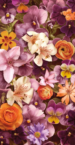 Коллекция Flower Dreams