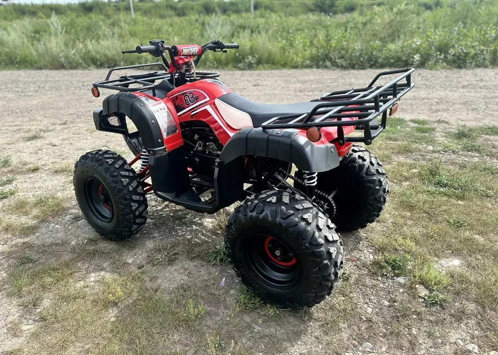 Квадроцикл RAPTOR Madman 200 All