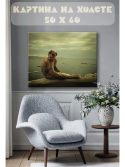 Картина на стену 40 X 50 Обезьяна