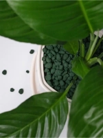 Дренаж для цветов и растений зеленый 4 л фр 5-10 мм