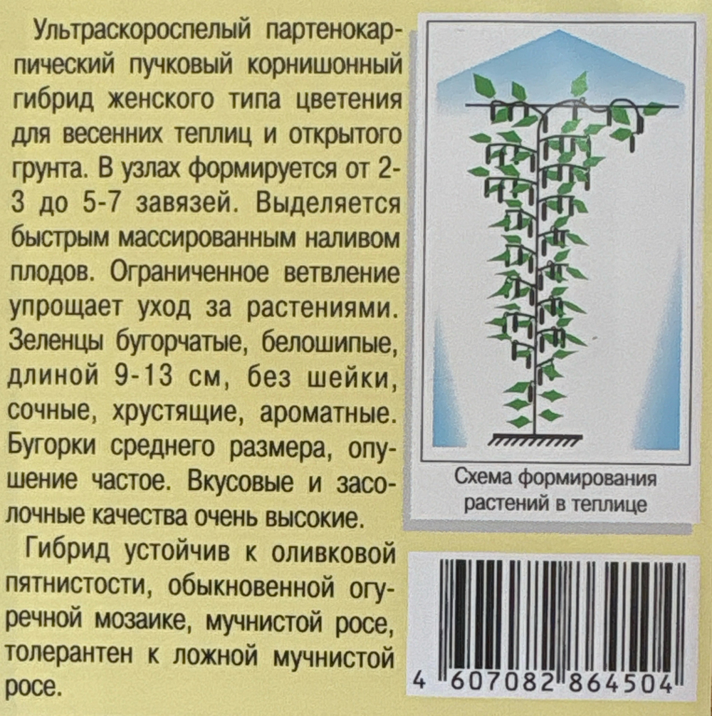 Огурец Ранняя пташка 10 шт СМО-175