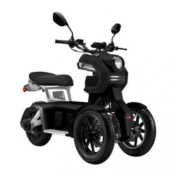 Электроскутер iTank Doohan Hoverbot Trike Черный