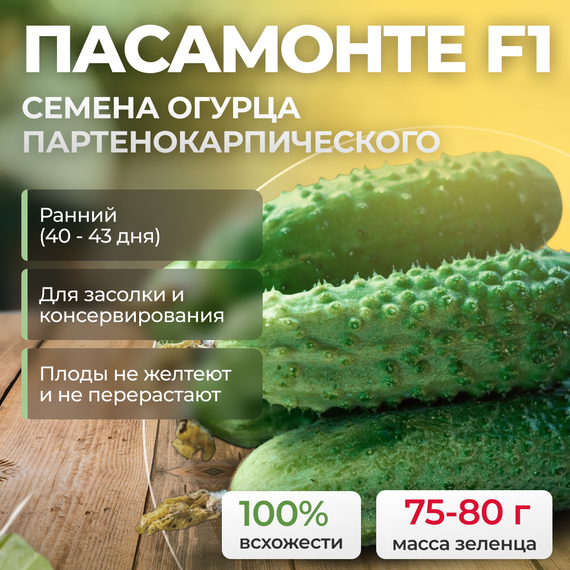 ПАСАМОНТЕ F1 семена огурца партенокарпического (Syngenta)