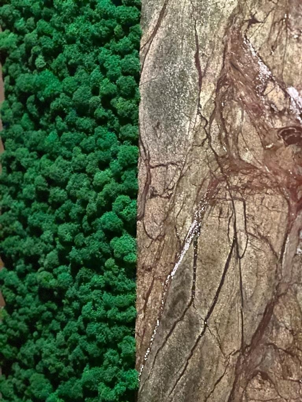 11.22. Вертикальное озеленение стабилизированным мхом ягелем