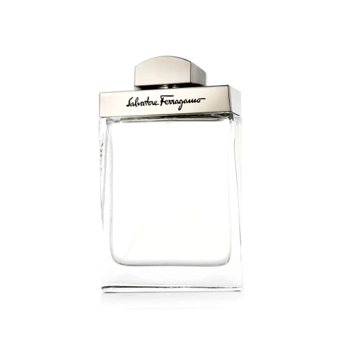Мужская парфюмерия Salvatore Ferragamo EDT Pour Homme 100 мл