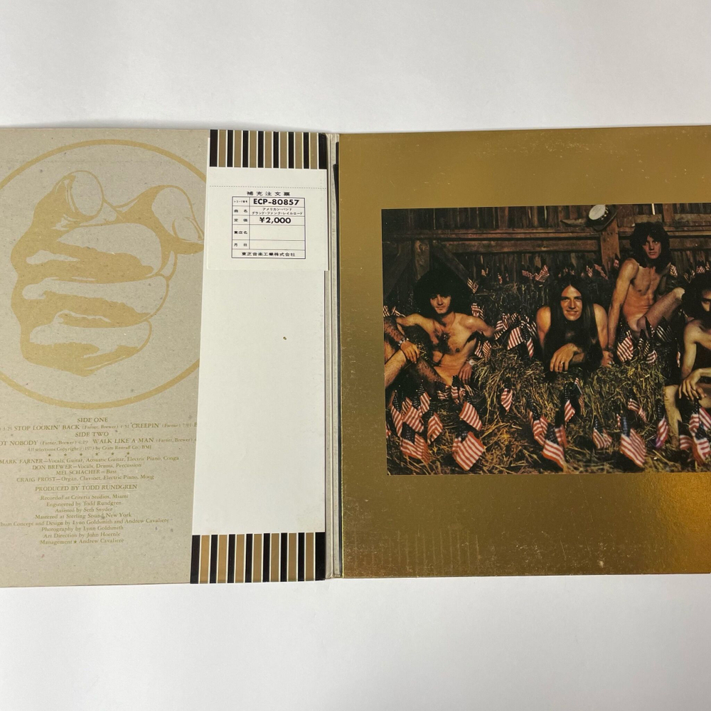 Винтажная виниловая пластинка LP Grand Funk Railroad We're An American Band (Japan 1973) (No Obi) (Gold Vinyl)