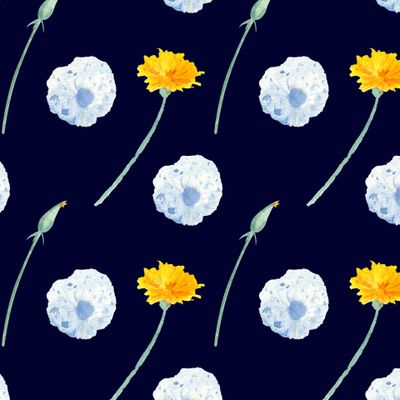 Одуванчики синий фон