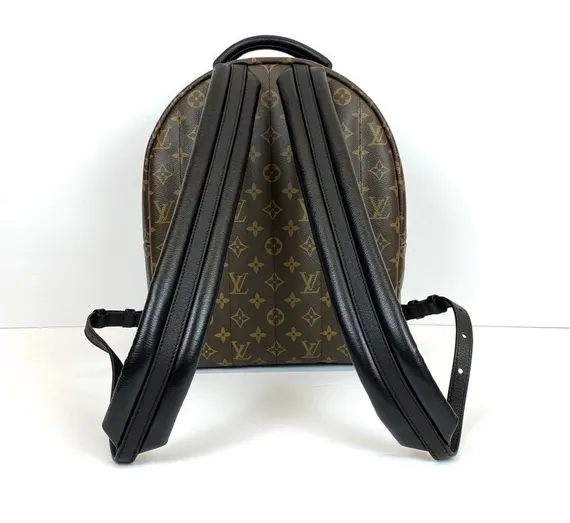 Рюкзак Louis Vuitton Palm Springs PM коричневый
