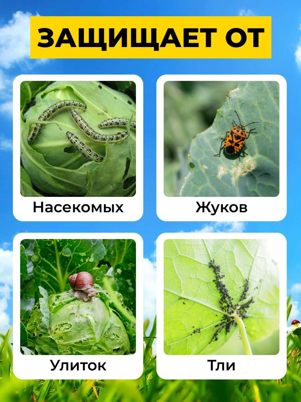 Чехлы для капусты на резинке, шапочки для капусты, защиты от вредителей и бабочек,100 шт.