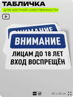 Табличка для частной территории "Внимание, лицам до 18 лет вход воспрещен", на дом, для участка, организаций и частных территорий, предупреждающая, 40х30 см, Silver Plane x Айдентика Технолоджи