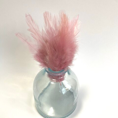 Перья петуха ежевика 7 - 13 см. 20 шт.