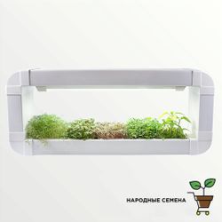 Гидропонная установка